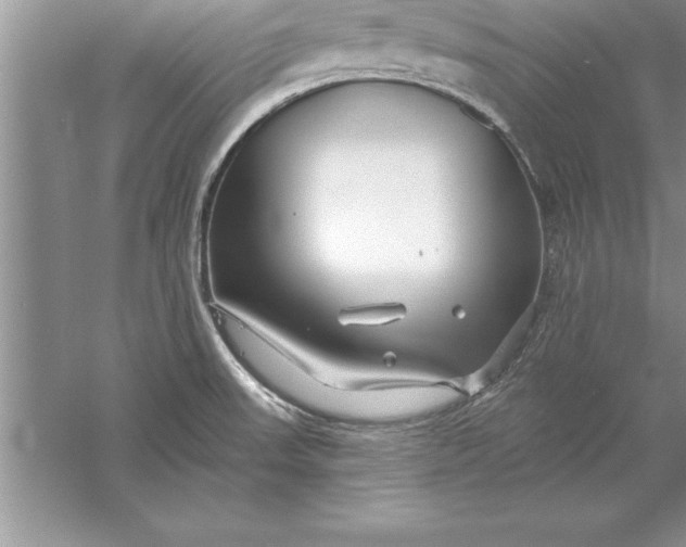 X0000055991523200509092006