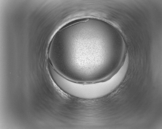 X0000055991524200509092006