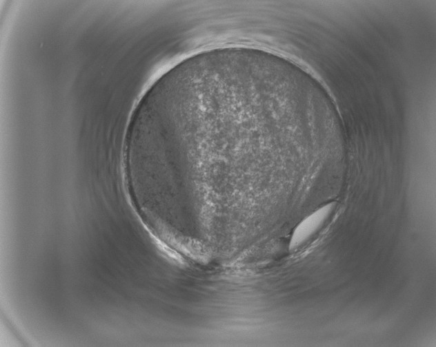 X0000055991525200509092006