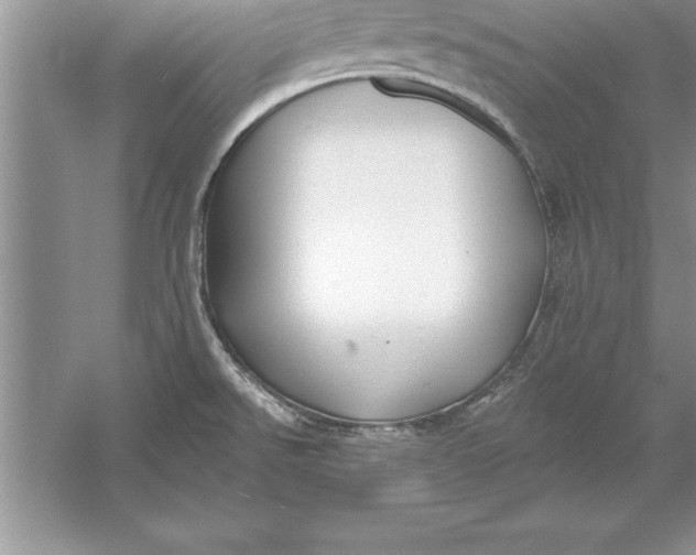 X0000055991526200509092006