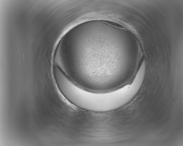 X0000055991528200509092006