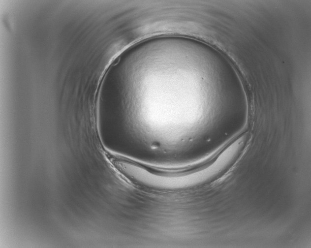 X0000055991529200509092006