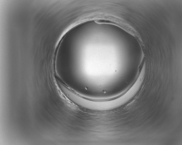 X0000055991530200509092006