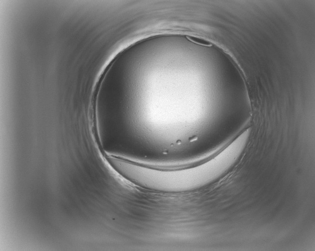 X0000055991531200509092006