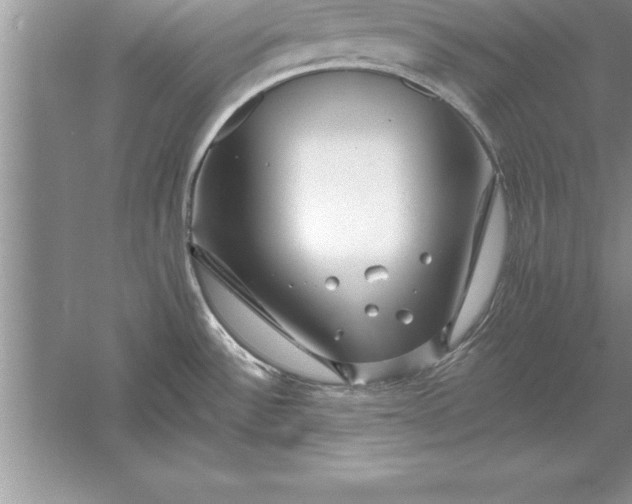 X0000055991532200509092006