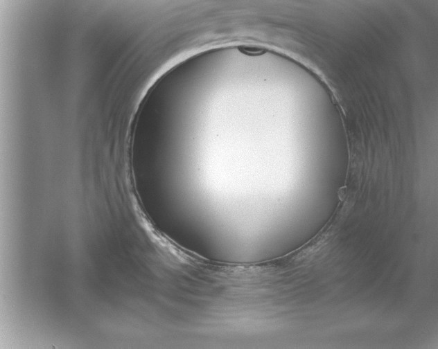 X0000055991534200509092006