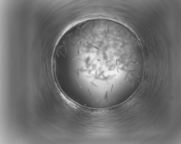 X0000055991535200509092006