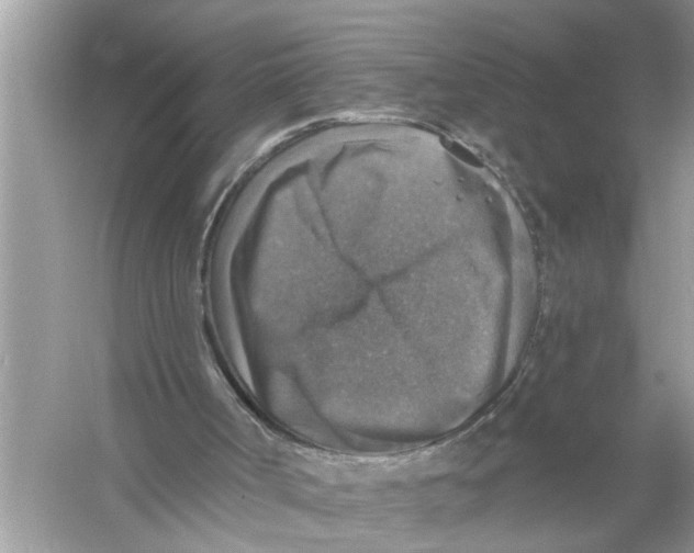 X0000055990002200509162304