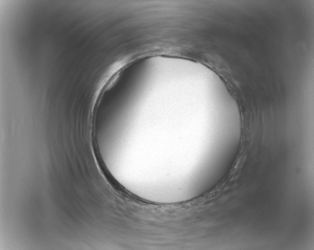 X0000055990003200509162304