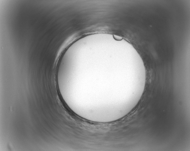 X0000055990004200509162304