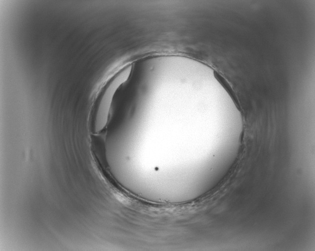 X0000055990005200509162303