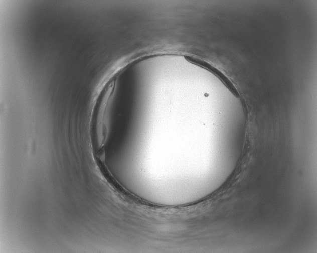 X0000055990007200509162303