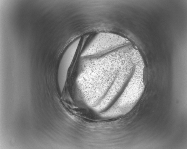 X0000055990009200509162303