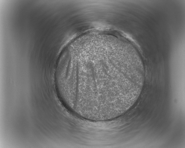 X0000055990010200509162303