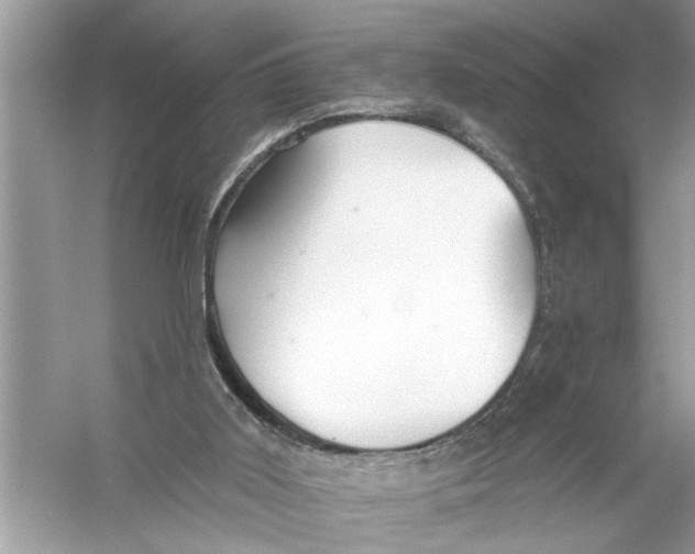 X0000055990011200509162303