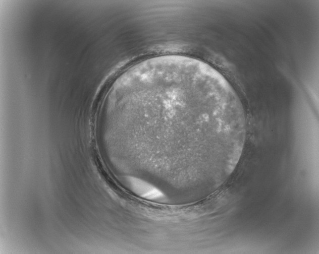 X0000055990012200509162303