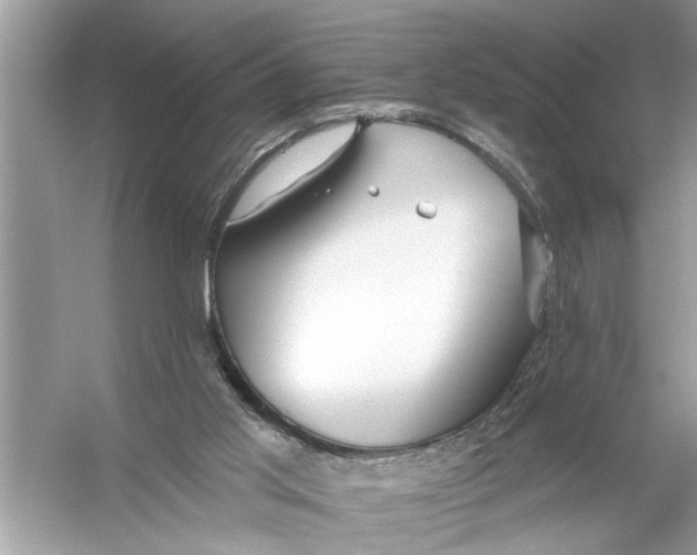 X0000055990013200509162303