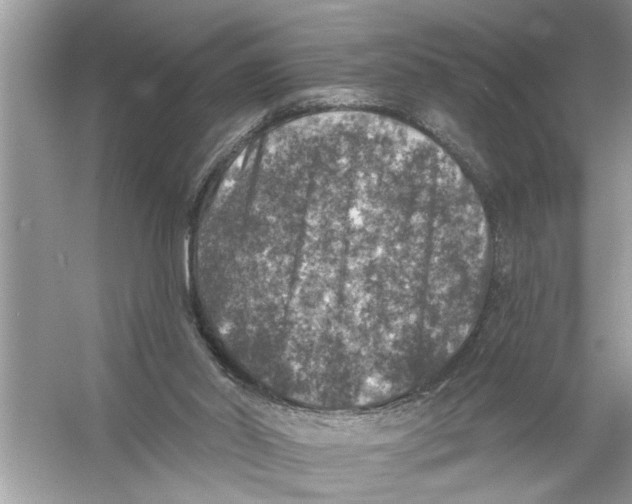 X0000055990014200509162303