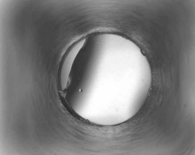 X0000055990015200509162303