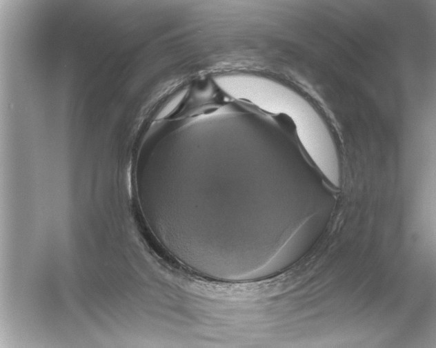 X0000055990019200509162303