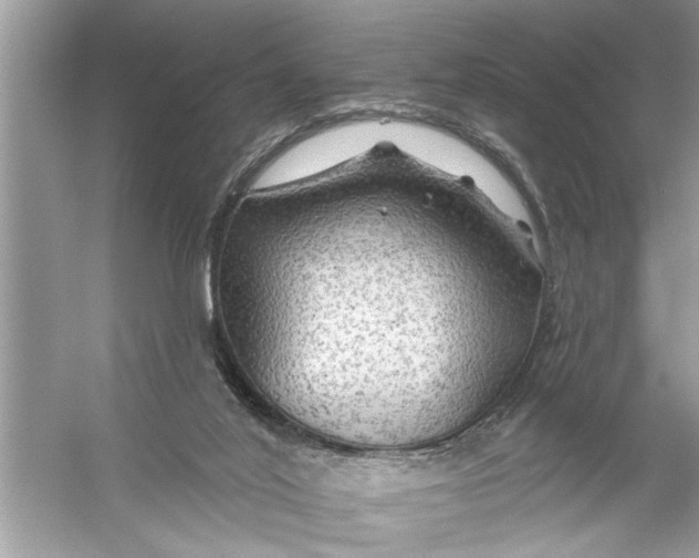 X0000055990020200509162303