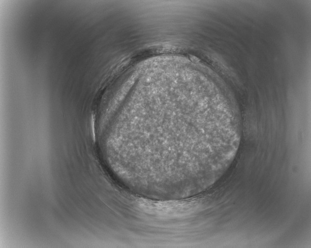 X0000055990022200509162303