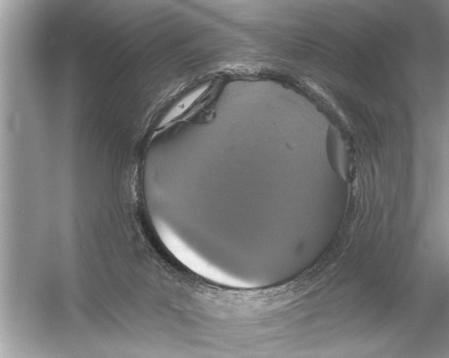 X0000055990023200509162303