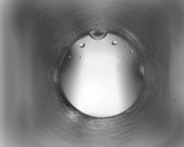 X0000055990025200509162303