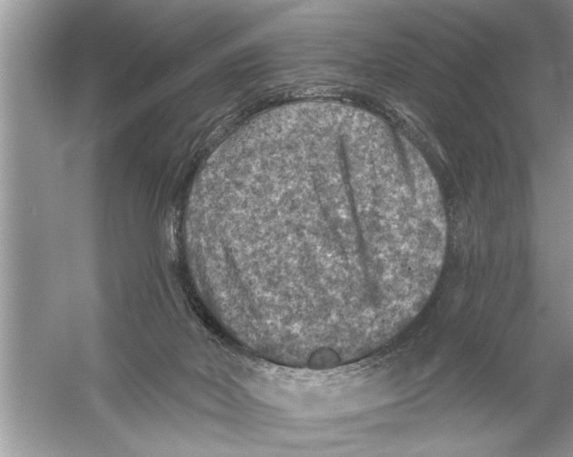 X0000055990026200509162303