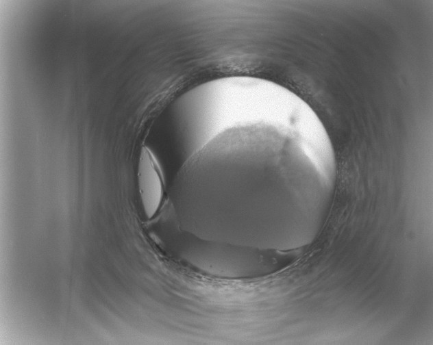 X0000055990027200509162303