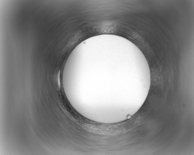 X0000055990028200509162303