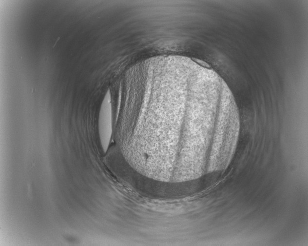 X0000055990029200509162303