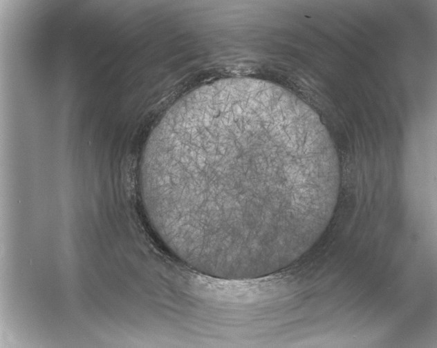 X0000055990030200509162303