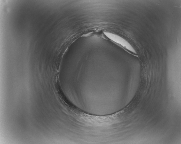 X0000055990031200509162303