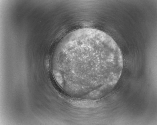 X0000055990032200509162303