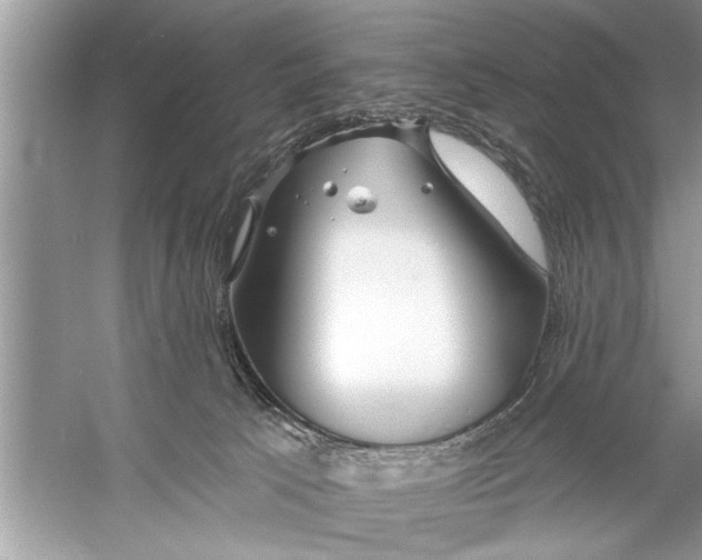 X0000055990033200509162303