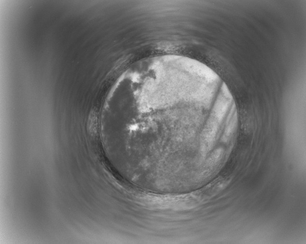 X0000055990036200509162303