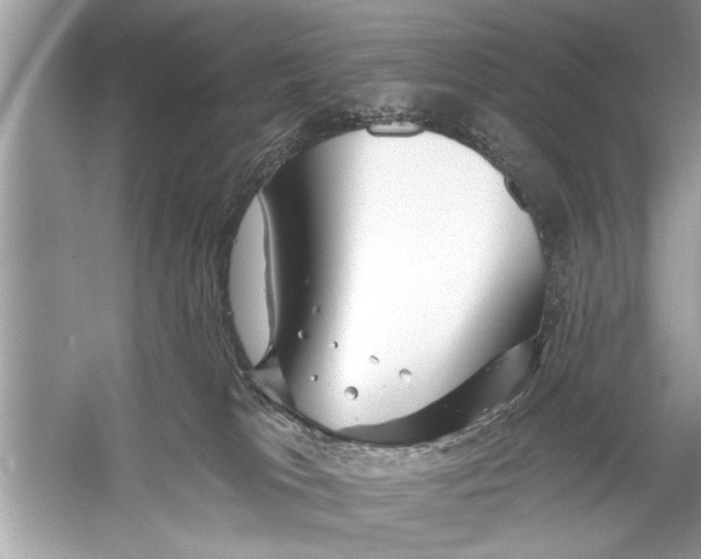 X0000055990037200509162303