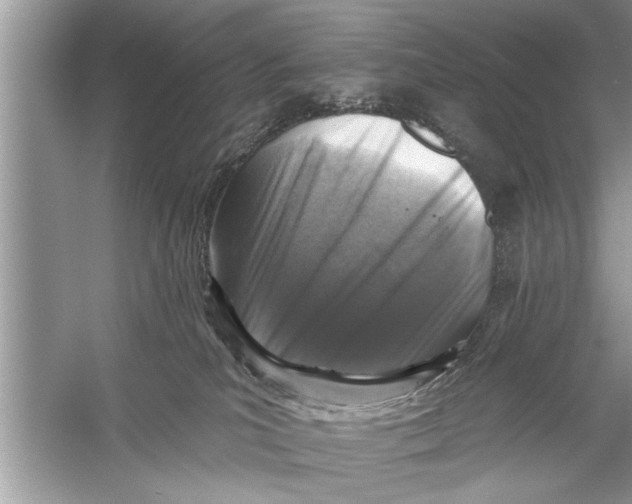 X0000055990039200509162303