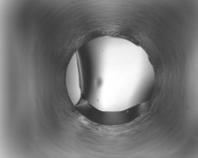 X0000055990041200509162303