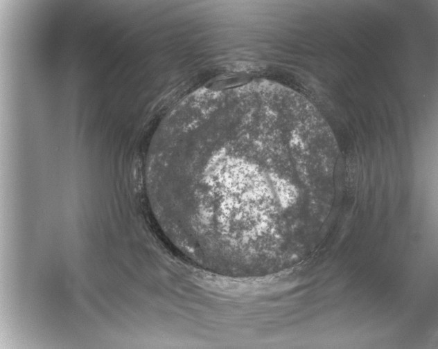 X0000055990043200509162303