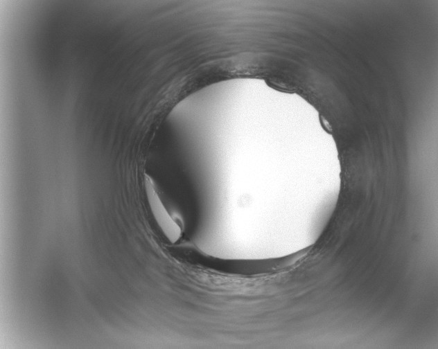 X0000055990044200509162303