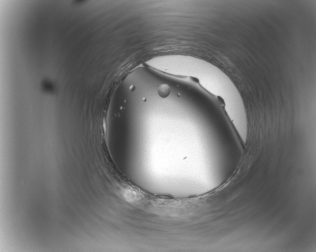 X0000055990045200509162303