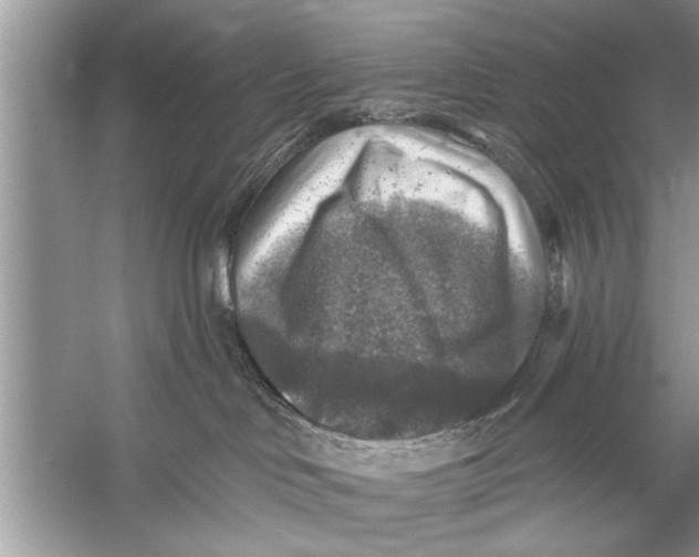 X0000055990046200509162303