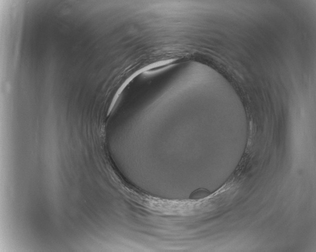 X0000055990048200509162303