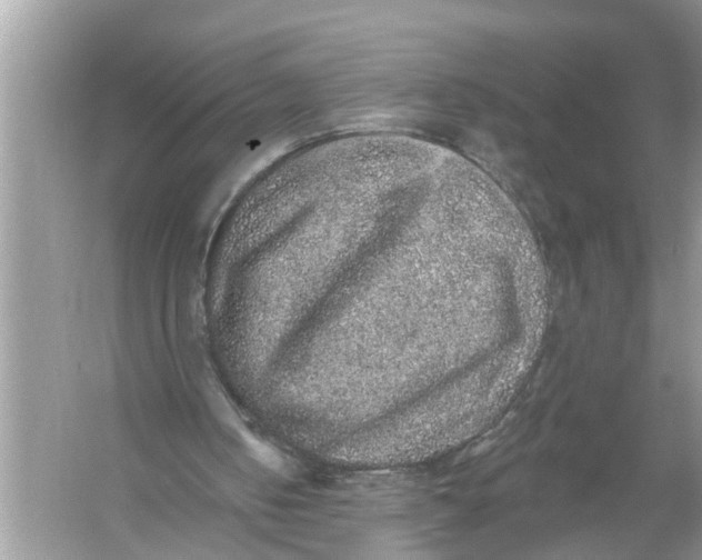 X0000055990050200509162302