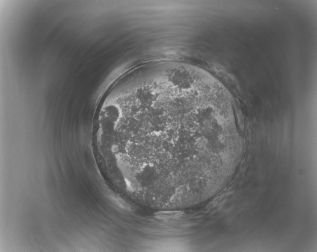 X0000055990051200509162302