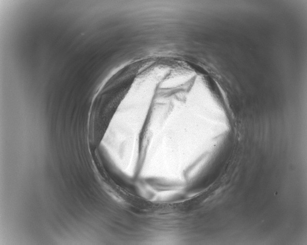 X0000055990052200509162302