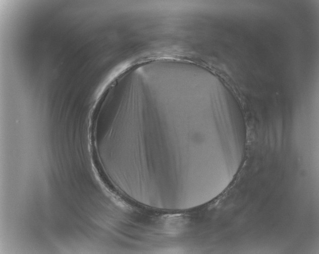 X0000055990054200509162302