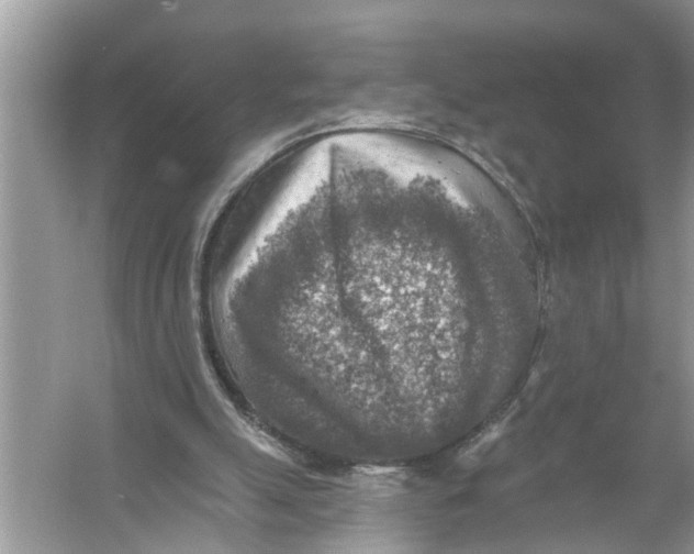 X0000055990055200509162302